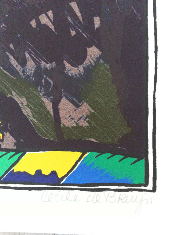 Cecile de Bruijn, zeefdruk, titel  kopen? Bied vanaf 30!