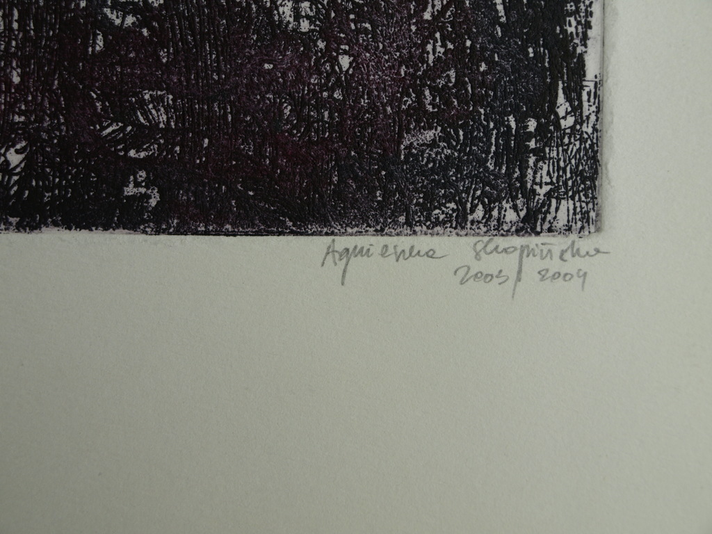 Onbekende kunstenaar : Ets – Titel: Ogdod – 2003/2004 – 49 x 21 cm  kopen? Bied vanaf 1!