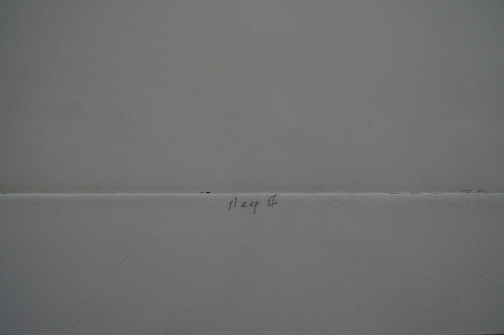 Mark Visione - gesigneerde ets - sleep II kopen? Bied vanaf 25!