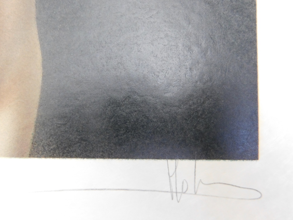 Bernard-Stephan Moldawan - Kleurenlitho - Electric Feather kopen? Bied vanaf 50!