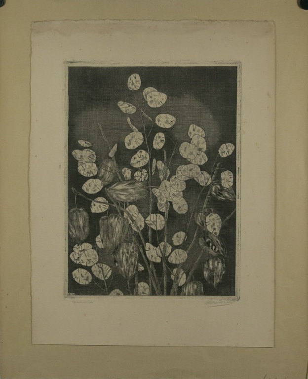 Onbekend gesigneerd: Krijt op papier, Stilleven + vier etsen kopen? Bied vanaf 1!