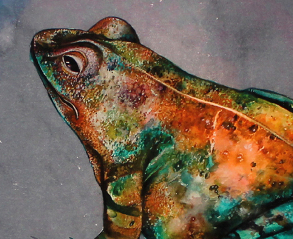 Bruno Bruni -RANA- Een bijna levensechte Pigmentdruk. Gesigneerd. 2017 kopen? Bied vanaf 79!