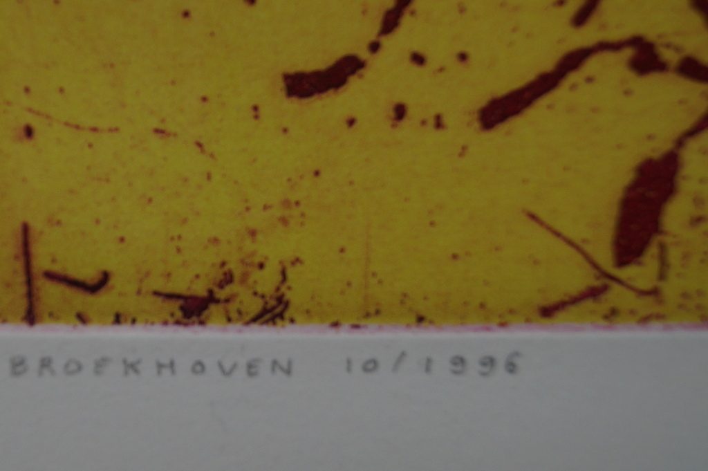 Saskia van Broekhoven - gesigneerde ets - 15 ex. - 1996 kopen? Bied vanaf 1!