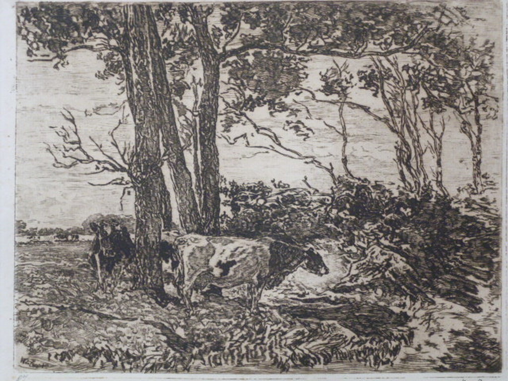 Willem de Zwart - ets - Koeien onder bomen verkocht voor € 35!