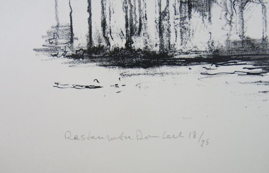 Dirkje Kuik: Litho, Restauratie Domkerk kopen? Bied vanaf 25!