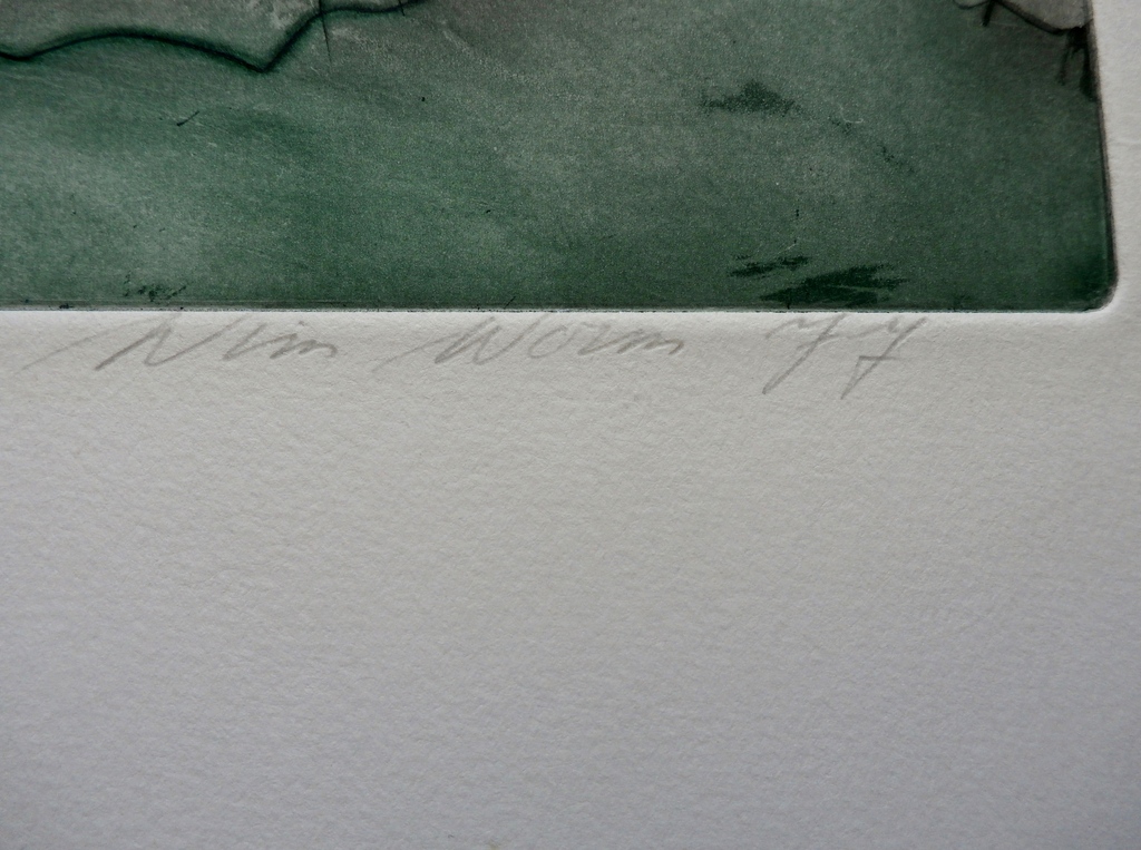 Wim Worm - Kleurenets: beeldbuis - 1977 kopen? Bied vanaf 30!