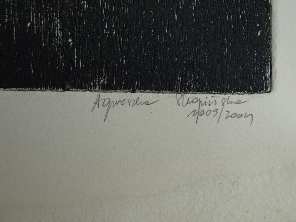 Onbekende kunstenaar : Ets – Titel: 1237 – 2003/2004 – 49 x 20 cm      kopen? Bied vanaf 1!