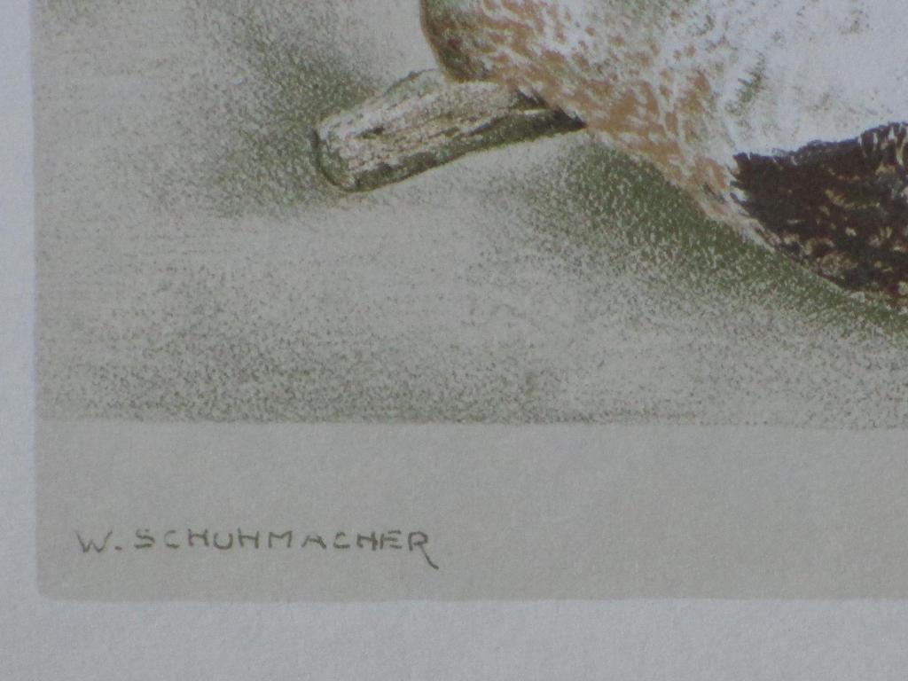 Wim Schuhmacher, Corpus Christi met dode vogel, Kleurenlitho kopen? Bied vanaf 1!