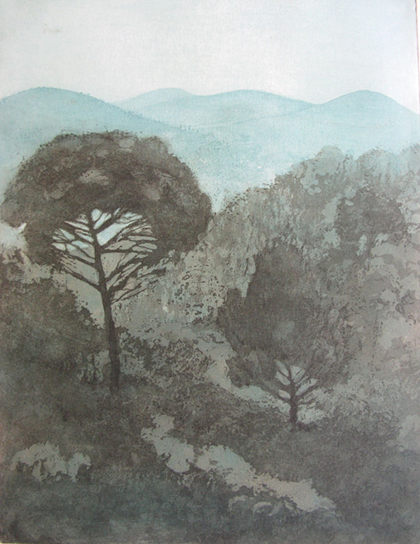 Willy Belinfante - SCHEMER IN DE PROVENCE - kleurets kopen? Bied vanaf 1!