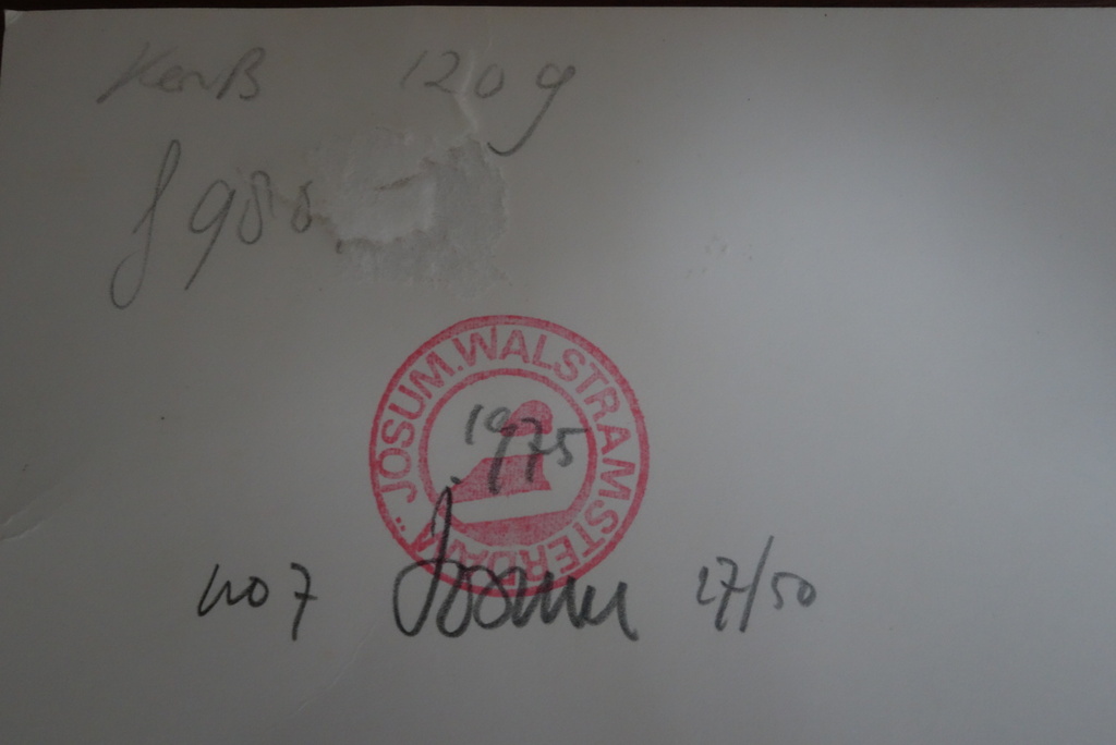 Josum walstra, geen titel  kopen? Bied vanaf 30!