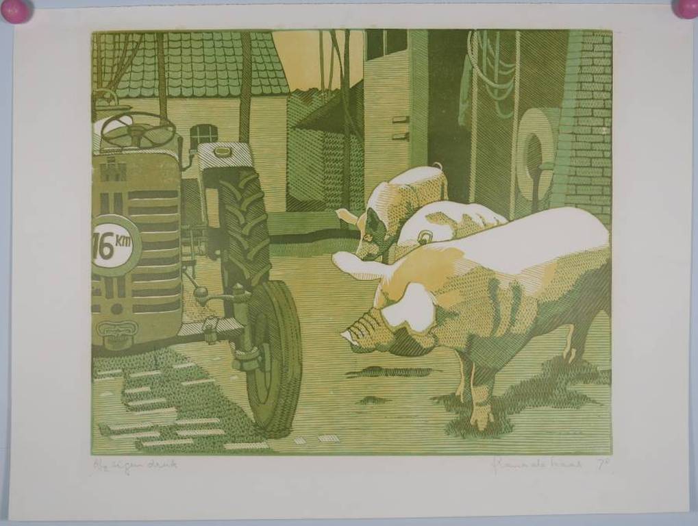 Frans de Haas: Lino, Boerderij kopen? Bied vanaf 40!