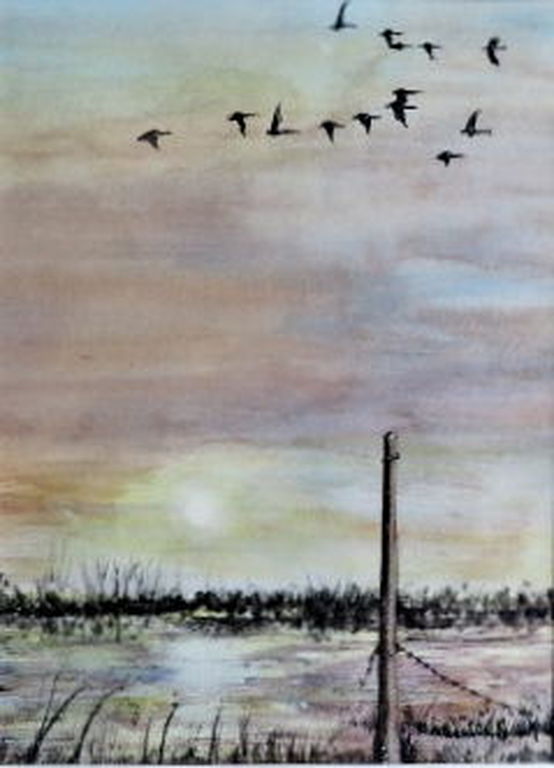 Toegeschreven aan Jan Goedhart (ongesigneerd) -Vogels in polder -in nette lijst kopen? Bied vanaf 1!