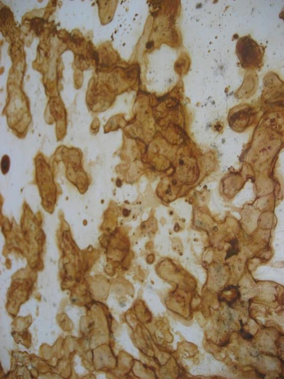 THEO NIERMEIJER FERROPRINT kopen? Bied vanaf 1!
