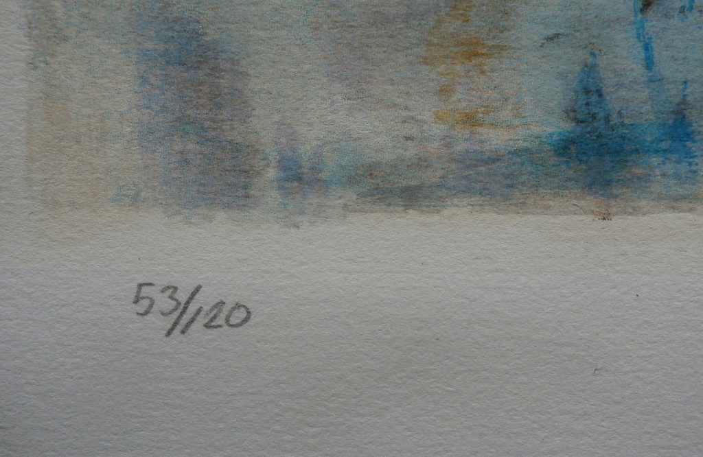 Willem van Scheijndel- kleurenlitho: Going for clarity - 2005 kopen? Bied vanaf 80!