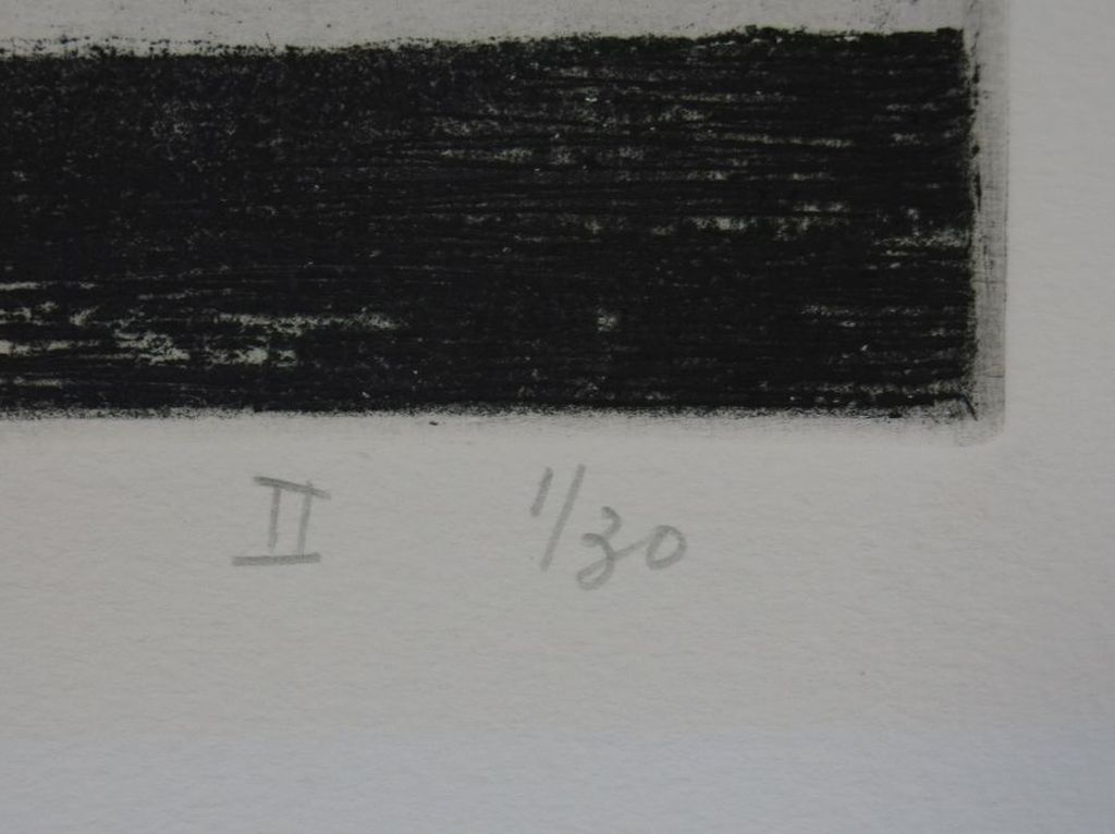 Theo Kurpershoek: Ets, Stilleven met watermeloen II kopen? Bied vanaf 1!