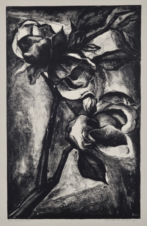 Aart van Dobbenburgh: Litho - Magnolia – 1926 kopen? Bied vanaf 25!