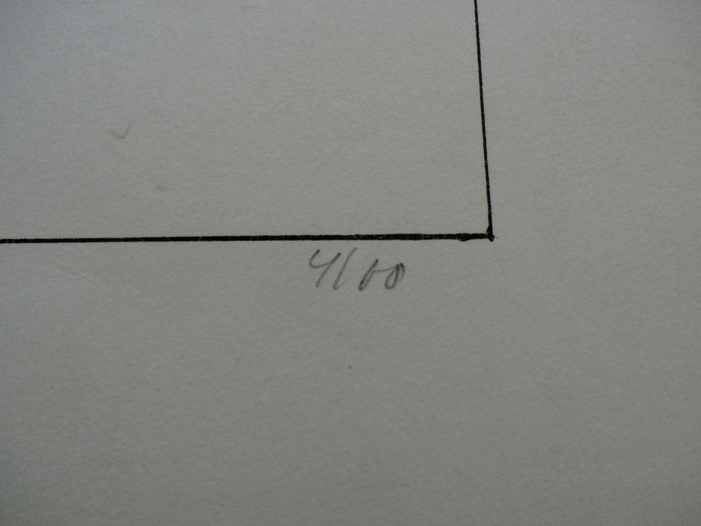 Rein Dool - litho - 1971 kopen? Bied vanaf 55!