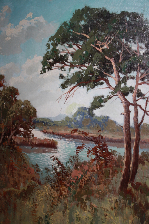 Buy peter COX  - PLASSEN LANDSCHAP leidse school? Bid from 1!