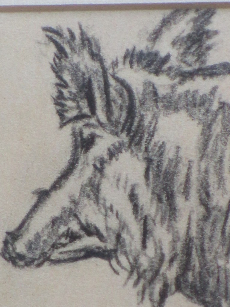 J.H.Kaemmerer, Wild zwijn, Tekening kopen? Bied vanaf 1!