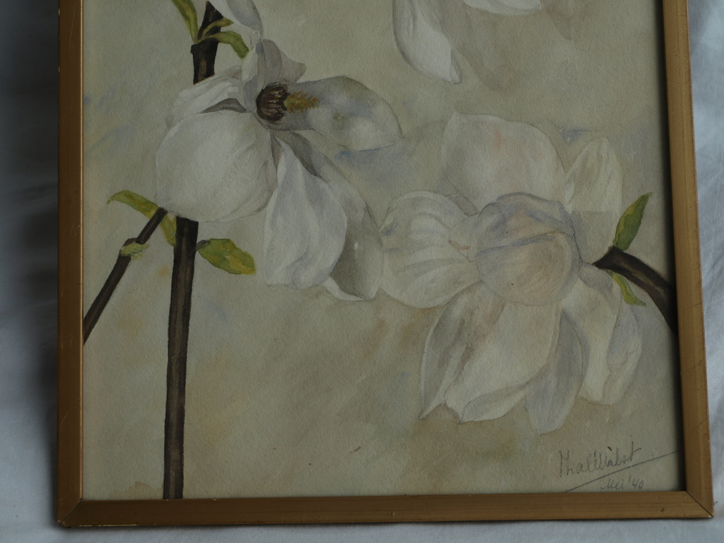 ThalÃ© Hulst: Aquarel â�� Magnolia, Tulpenboom - ingelijst - 1940  kopen? Bied vanaf 30!
