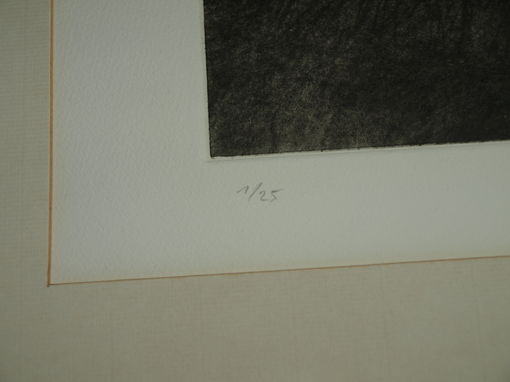 ELMAR GILLE  (1947) - Ets – Landschap – Gesigneerd & ingelijst - 1985 kopen? Bied vanaf 50!