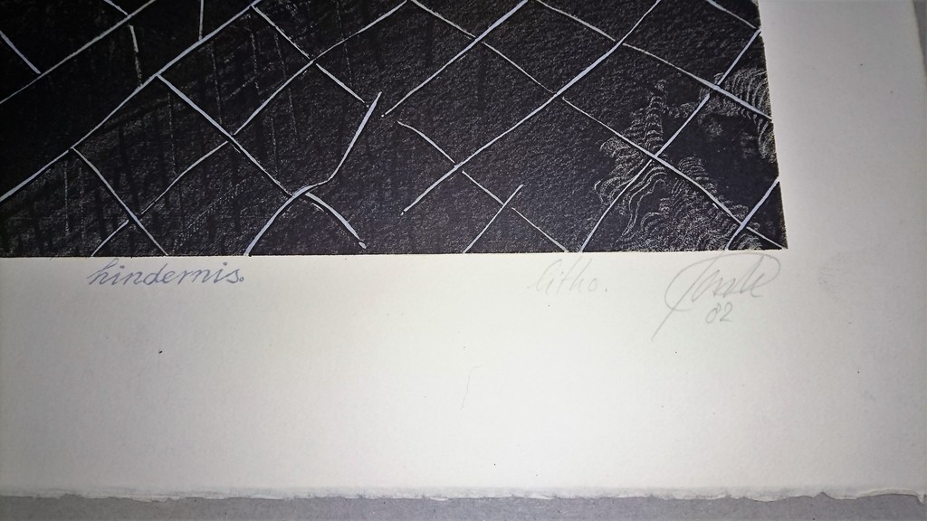 Wim Jonkman,Litho,Hindernis kopen? Bied vanaf 30!