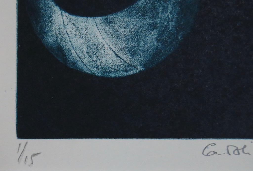 Caroline Koenders: Mezzotint, Zonder titel kopen? Bied vanaf 20!