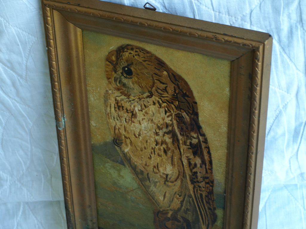 Gesigneerd B.D. : Olieverf op paneel , Uil – ingelijst– 1e helft 20e eeuw kopen? Bied vanaf 1!