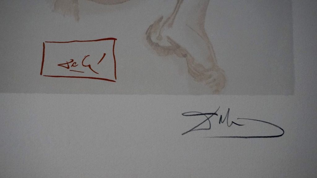 Salvador Dali - La Divina Comedia - handgetekende houtsnede kopen? Bied vanaf 150!