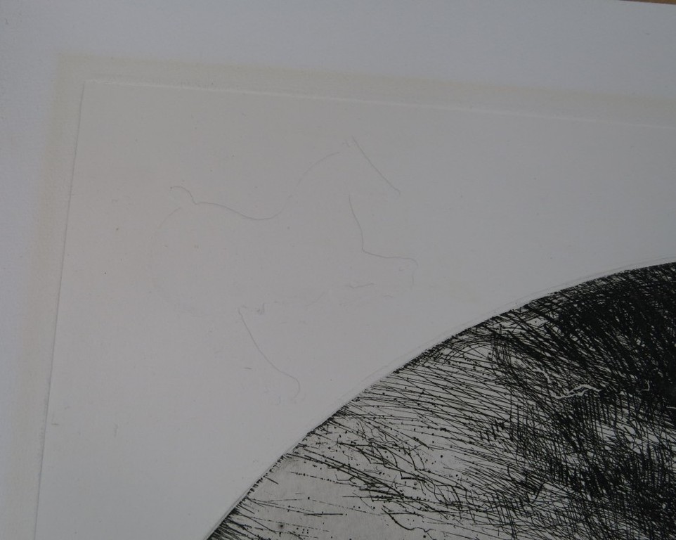 Willem Snitker: Ets, blinddruk, Paard  kopen? Bied vanaf 1!