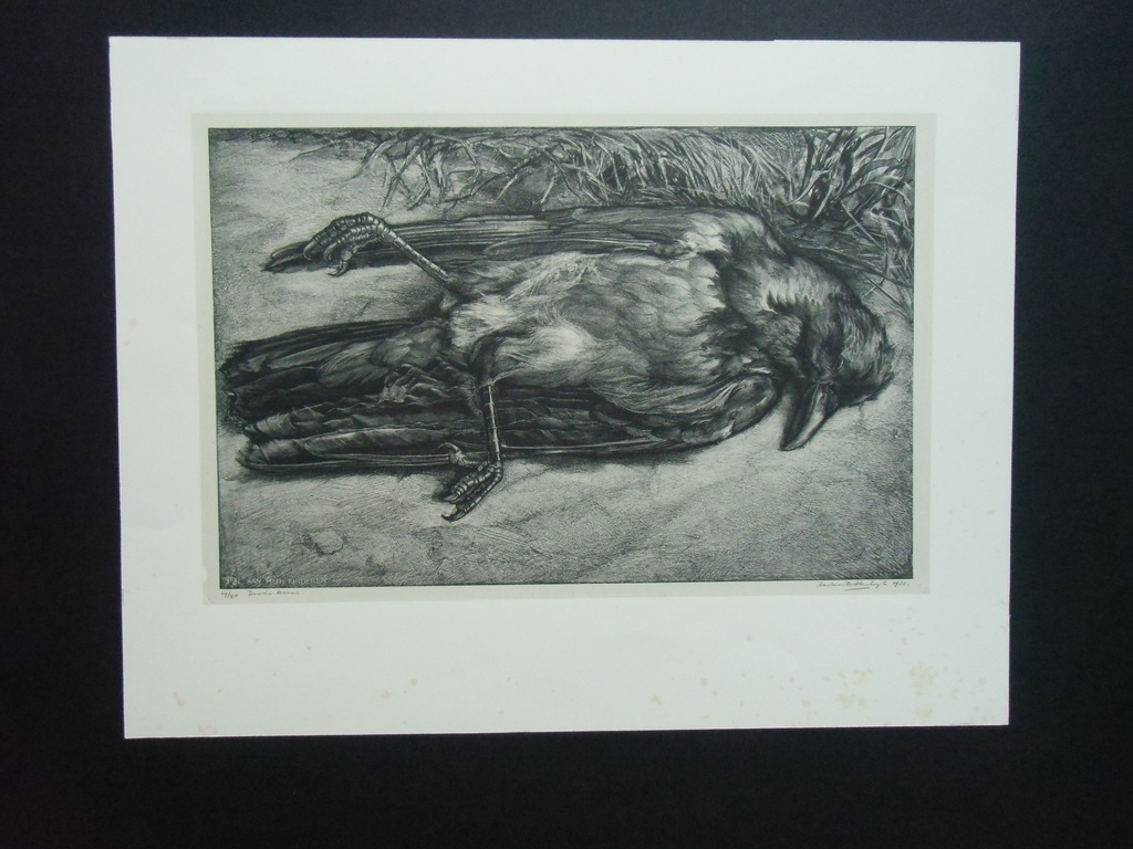 DOODE KRAAI   ///   LITHO/CHINE COLLÉ VAN AART VAN DOBBENBURGH kopen? Bied vanaf 40!