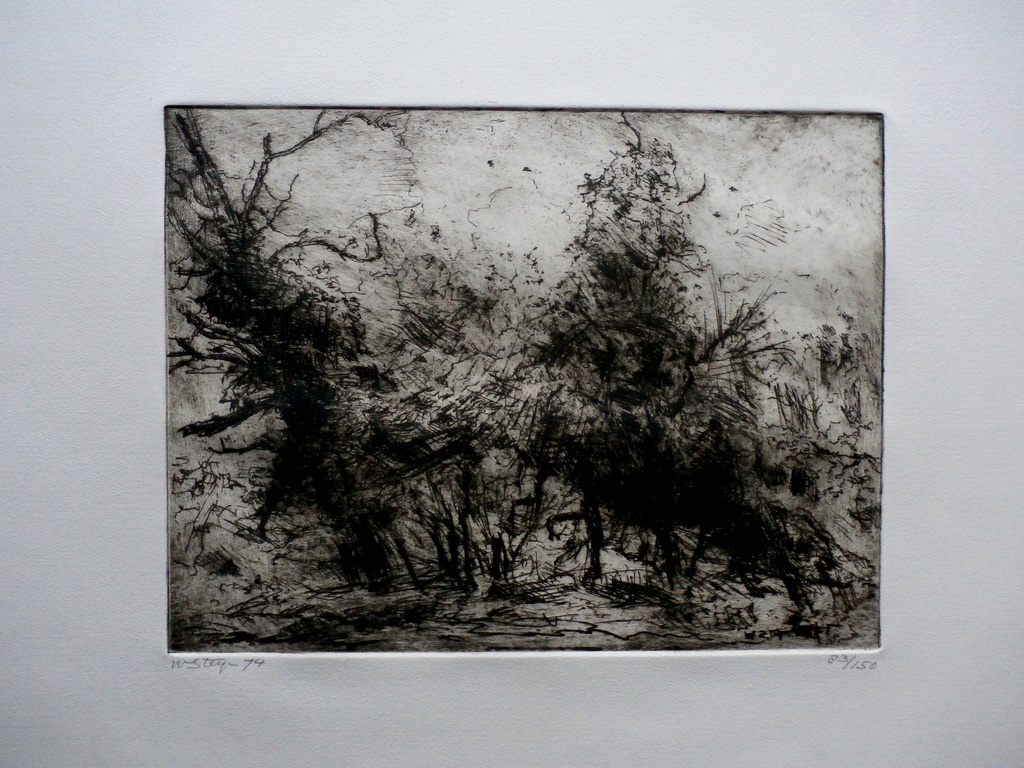 Wim Steijn - grote ets: bomen - 1974 verkocht voor € 40!