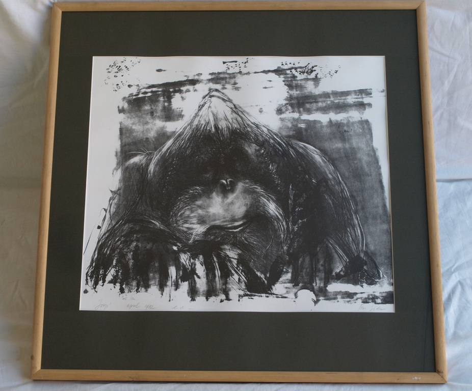 Ton Söder : Litho , Orang-oetan Joop – Artis - gesigneerd & ingelijst – 1982 kopen? Bied vanaf 1!