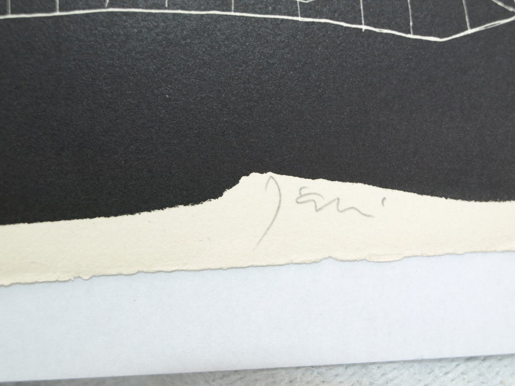 Ets - Vreemde vissen - Gesigneerd –  Oplage 60 - *DAKA-AANBIEDING* kopen? Bied vanaf 23!