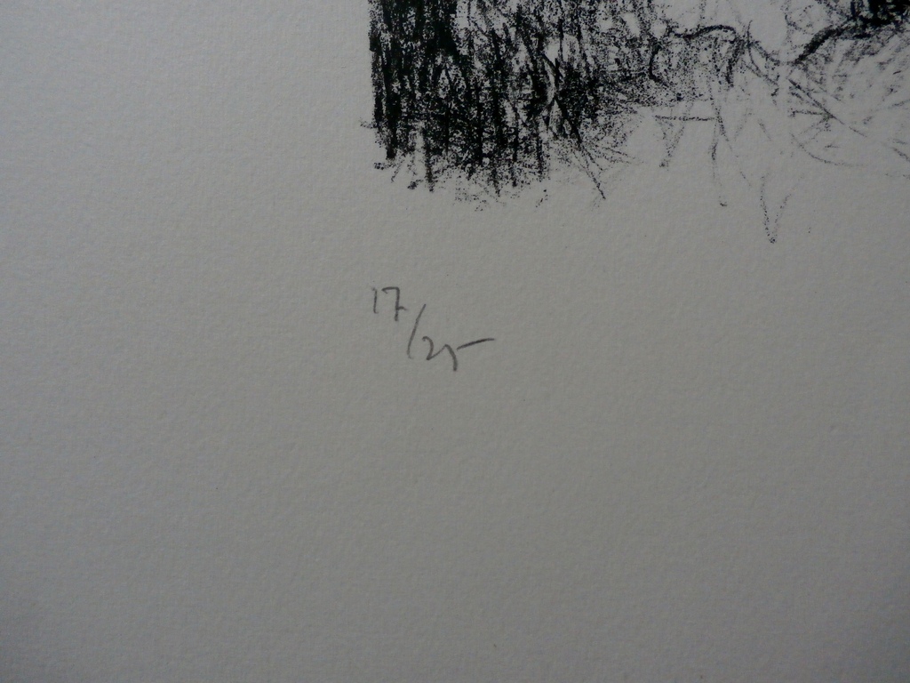 Metten Koornstra - Litho - 1959 kopen? Bied vanaf 49!