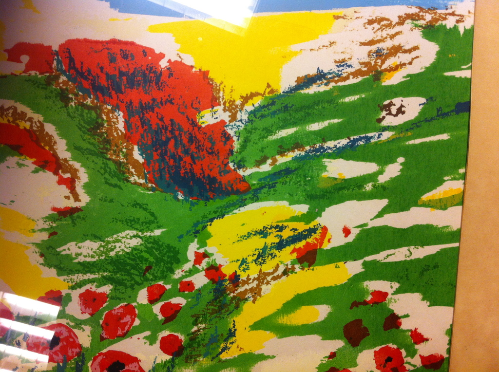 Henk Deylius, zeefdruk 3/9  kopen? Bied vanaf 20!