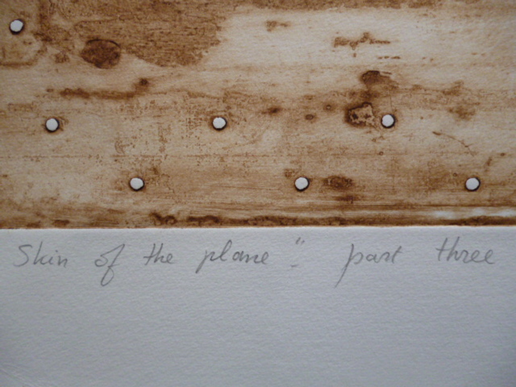 Leentje Linders - kleurenets - Skin of the plane - part three kopen? Bied vanaf 45!