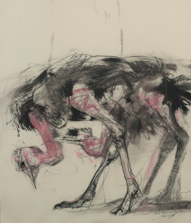 Jaap Ploos van Amstel: Krijttekening op papier, Struisvogels - Ingelijst verkocht voor € 105!