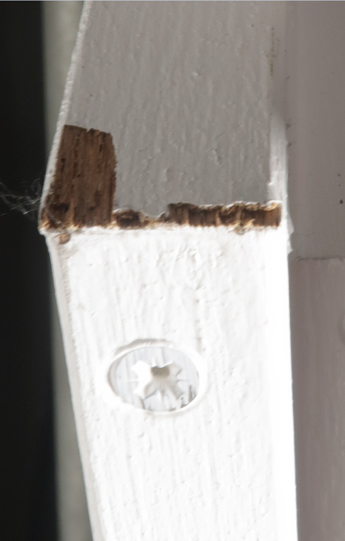 Charlotte Molenkamp: Olieverf op doek, Zonder titel - Ingelijst (Groot) kopen? Bied vanaf 2200!