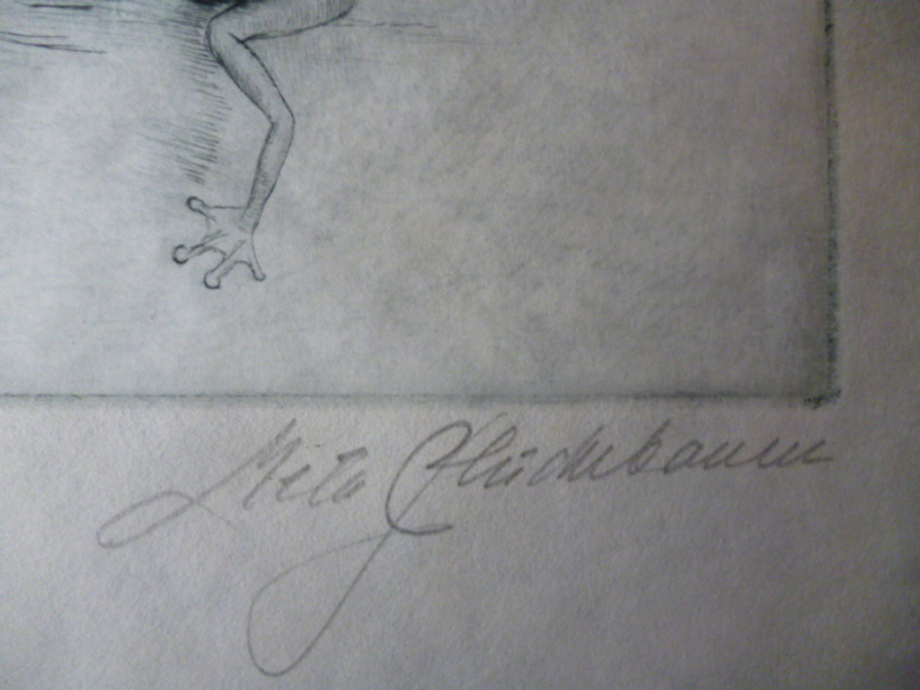 Meta Plückebaum - ets - Twee poesjes met kikker kopen? Bied vanaf 100!