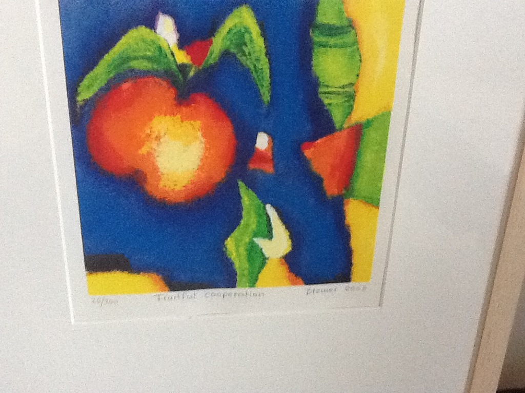 Saskia Bremer : Handgesigneerde Kleurenlitho ' Fruitful cooperation ' kopen? Bied vanaf 20!