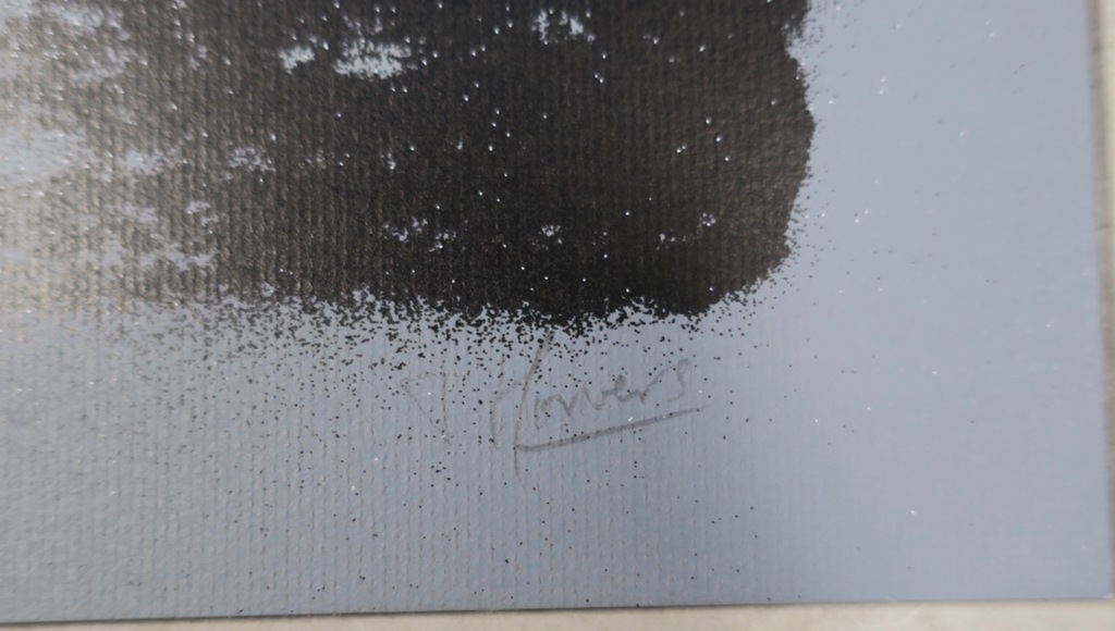 Toine Horvers: Zeefdruk, Z.T. kopen? Bied vanaf 100!