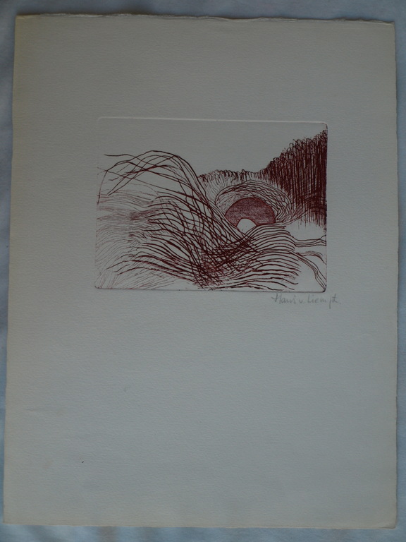 Hans van Liempt : Ets – Landschap – gesigneerd  kopen? Bied vanaf 1!