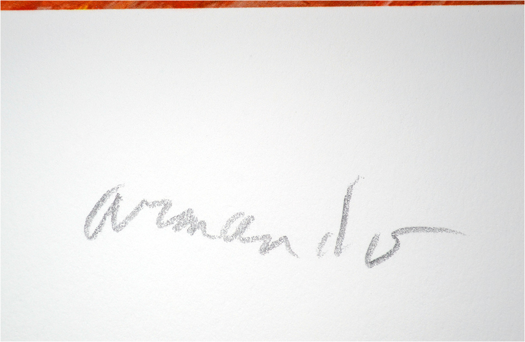 Armando, "Landschaft", kleuren giclee, gesigneerd, oplage 30, 2015 kopen? Bied vanaf 1!