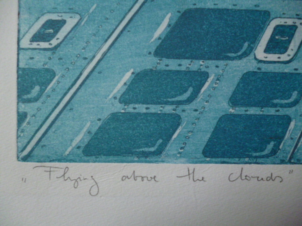 Leentje Linders - kleurenets - Flying above the clouds kopen? Bied vanaf 60!