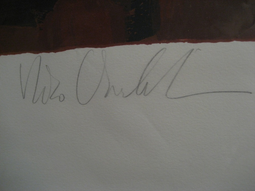 Nico Vrielink - schitterende zeefdruk - Jeane II (Jeane V) - handgesigneerd en genummerd - waarde 895 Euro kopen? Bied vanaf 185!