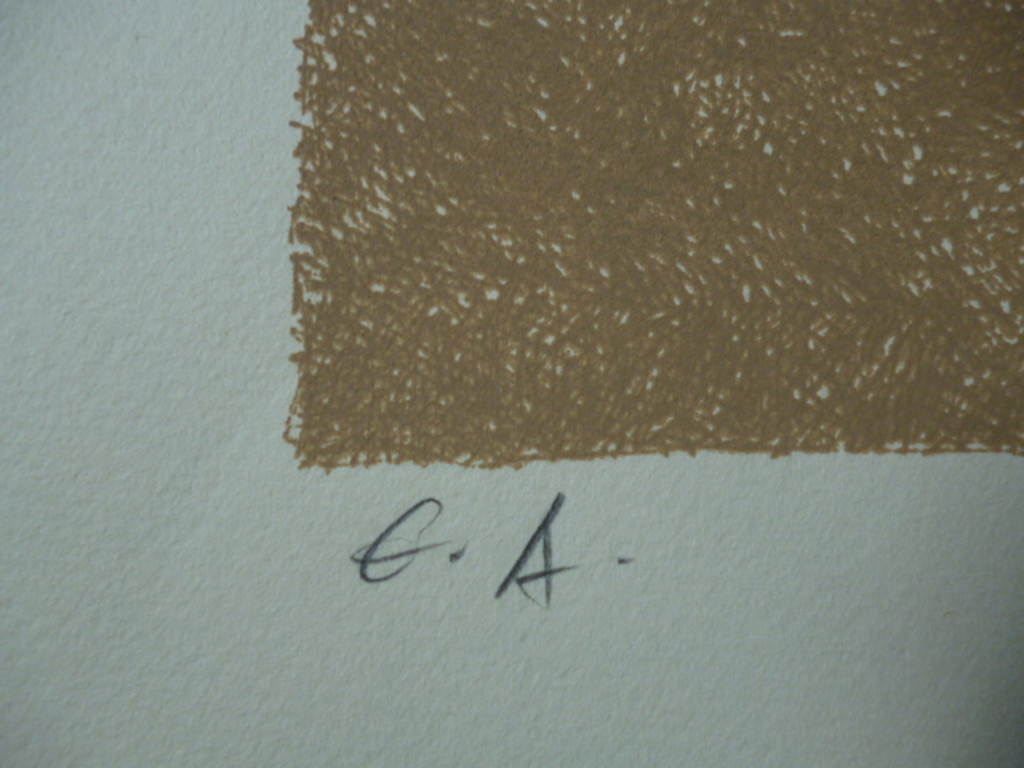 Yargo de Lucca - kleurenlitho - Vogel kopen? Bied vanaf 25!