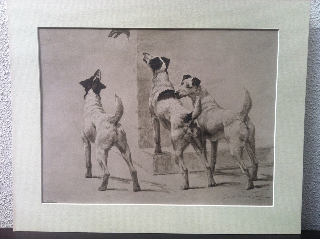 Maud Earl: Ets, A Masked Fox kopen? Bied vanaf 100!