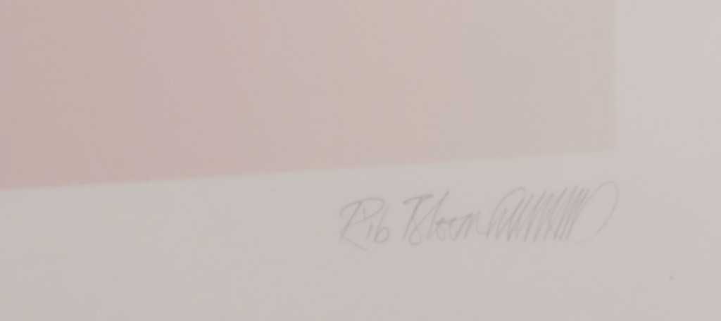 Rib Bloomfiels: Zeefdruk, Ichi - Ingelijst (Groot) kopen? Bied vanaf 1!