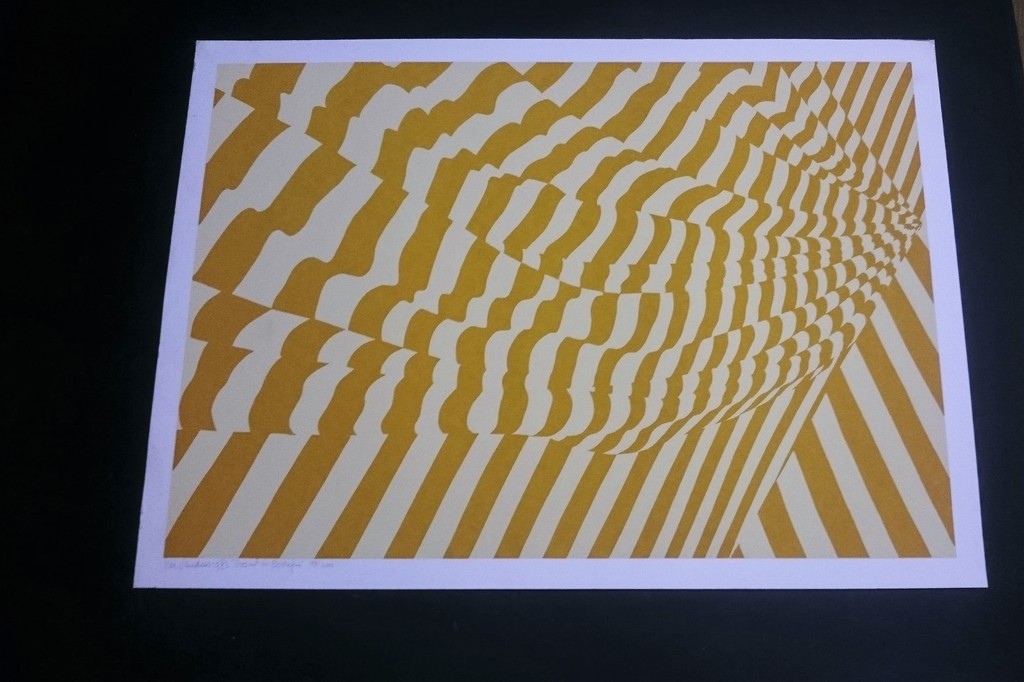 Har Sanders, zeefdruk, 800m2 in 80 dagen kopen? Bied vanaf 30!